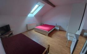 Apartments Zizkov A